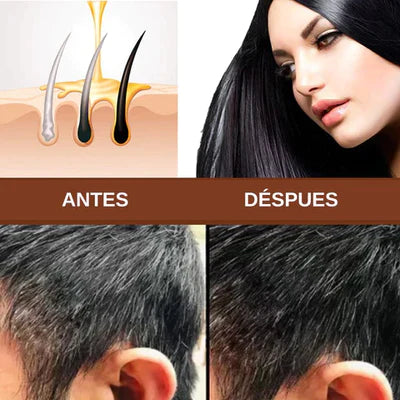 Vitalidad Herbal | Shampoo Natural Rejuvenecedor