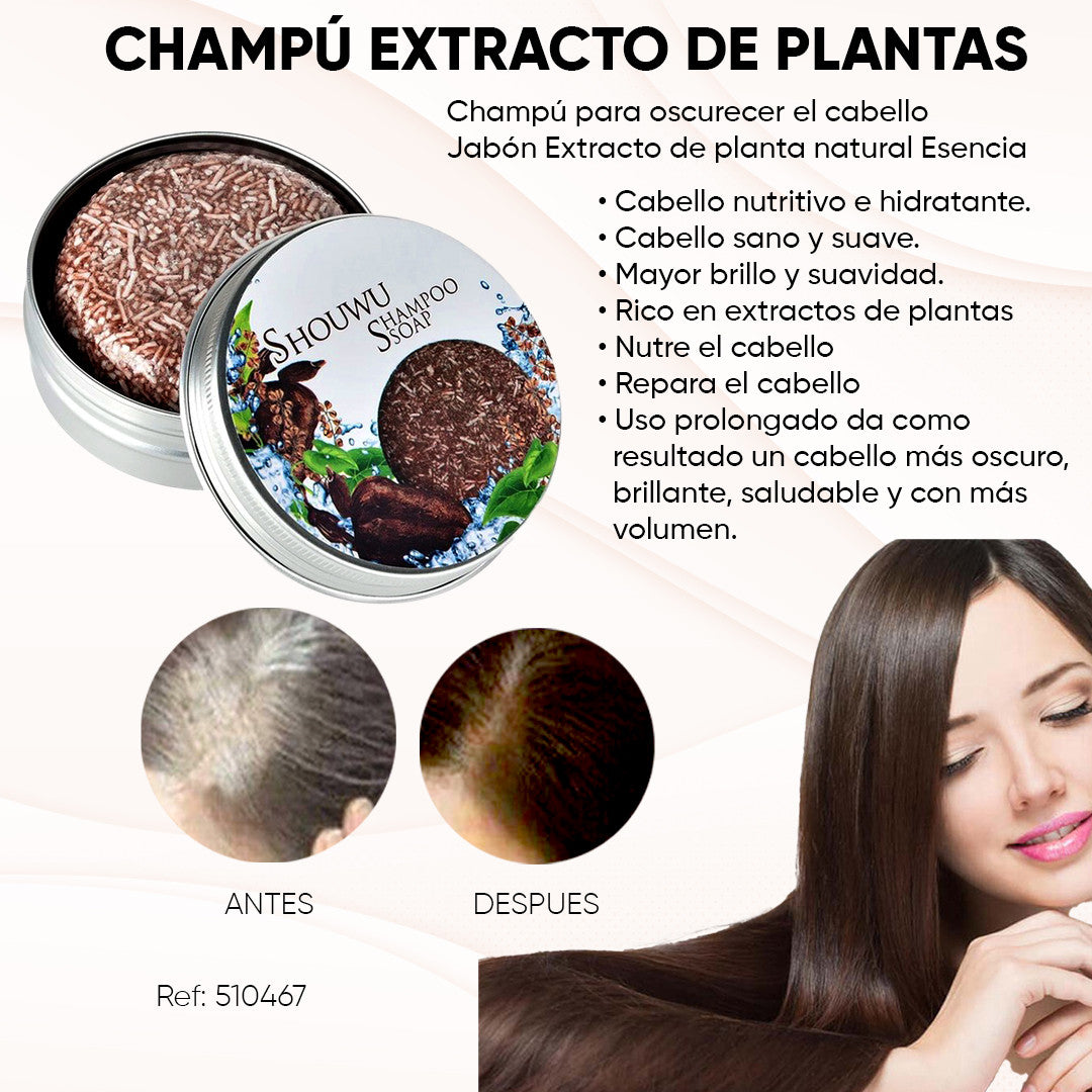 Vitalidad Herbal | Shampoo Natural Rejuvenecedor